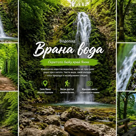 сонита *